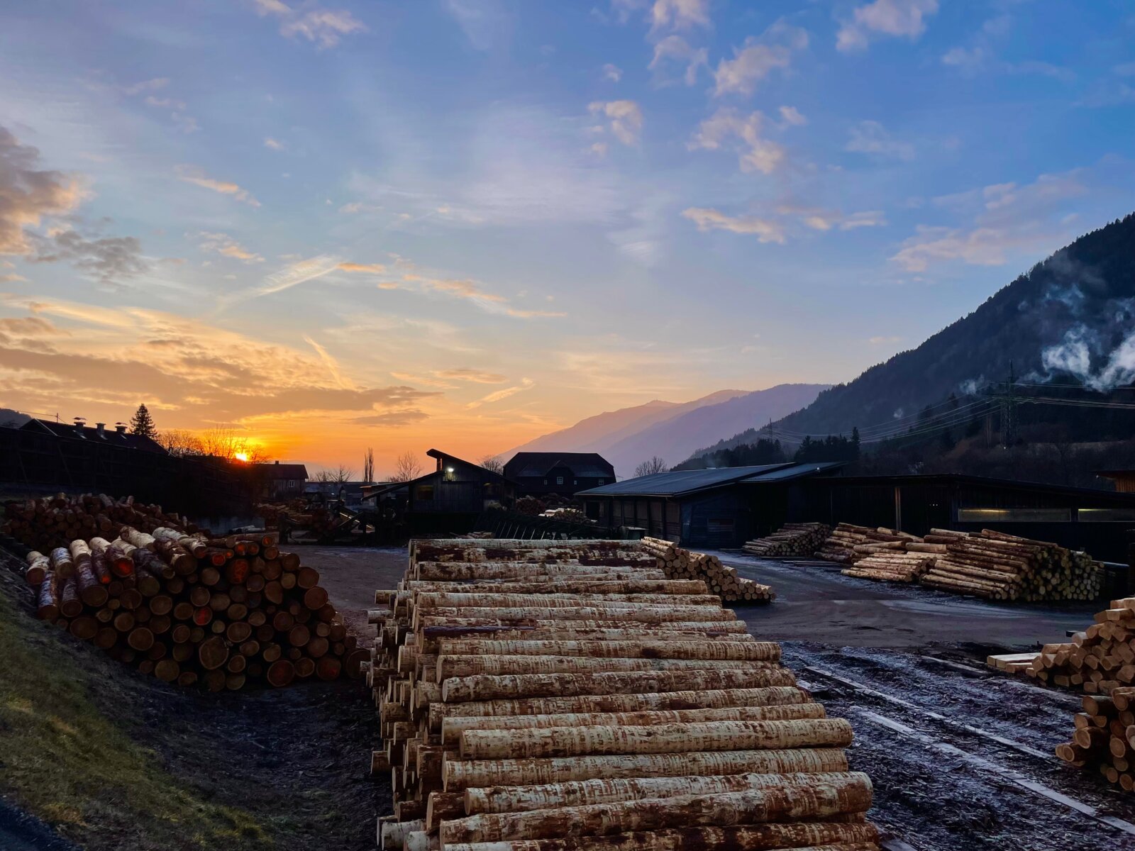 Holz von der Winterholz Sägewerk GmbH