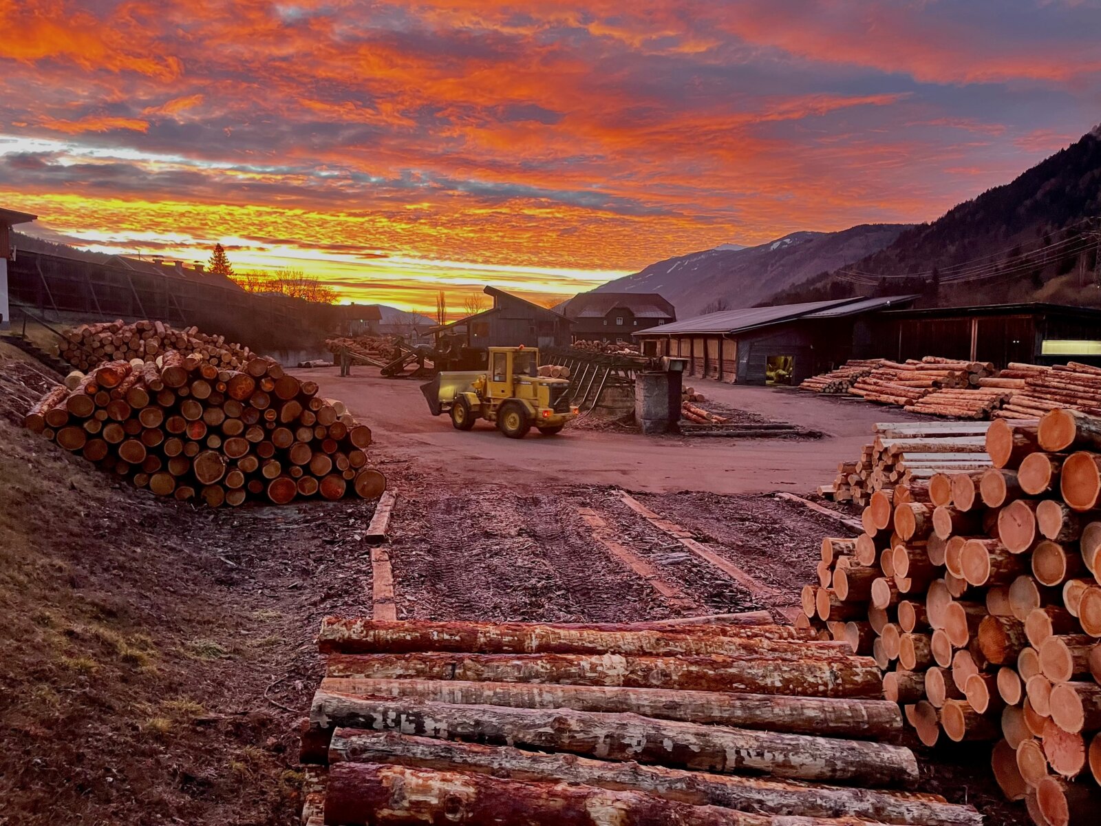 Holz und Maschinen von der Winterholz Sägewerk GmbH