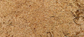 Lärche natur gehobelt